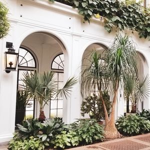 Meet your Posher, Tamar